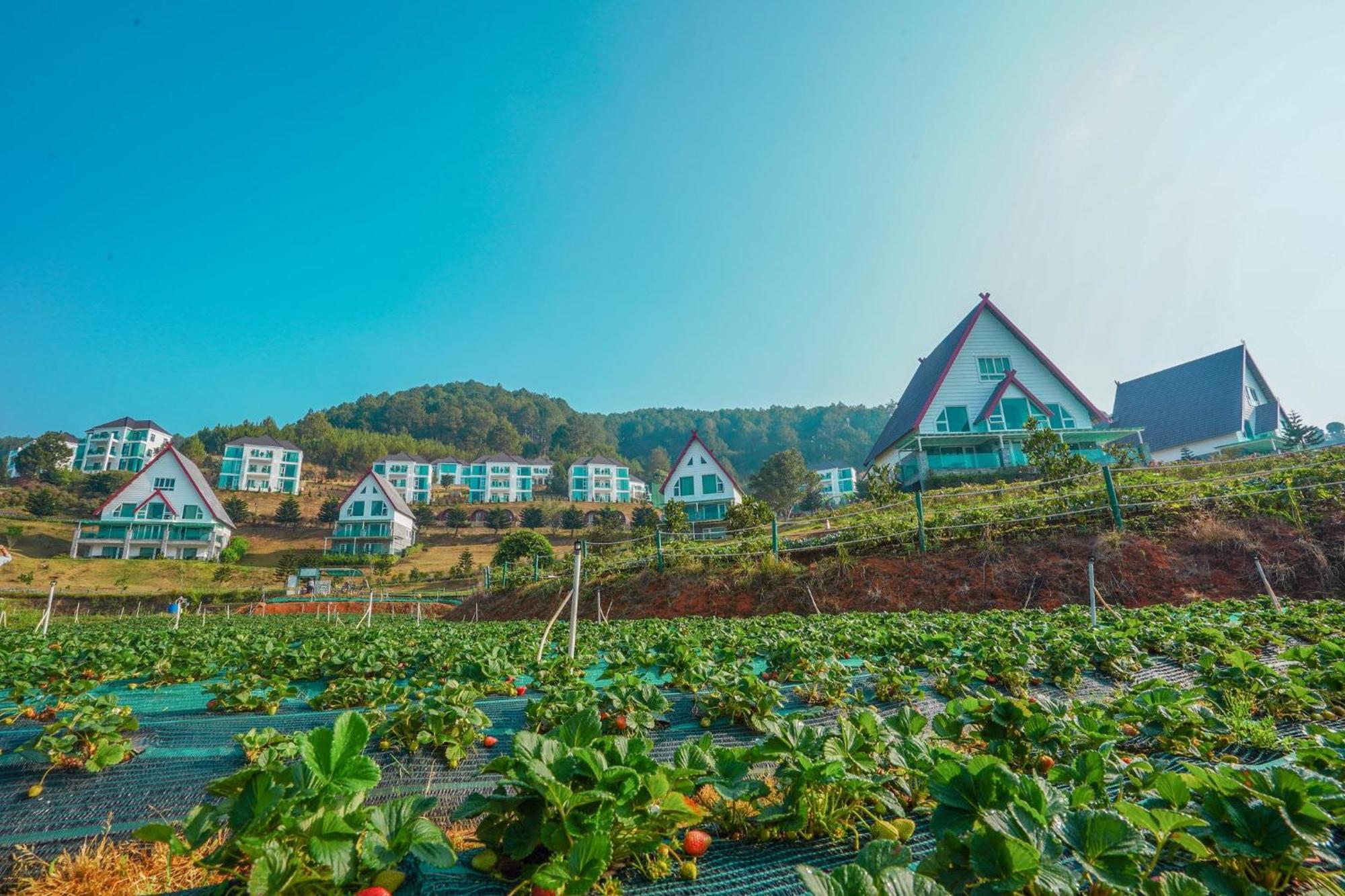Dalat Wonder Resort Da Lat Exterior foto